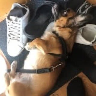 Profile Picture of Jonathan Henriksen (@henriksen_jonathan) on Instagram