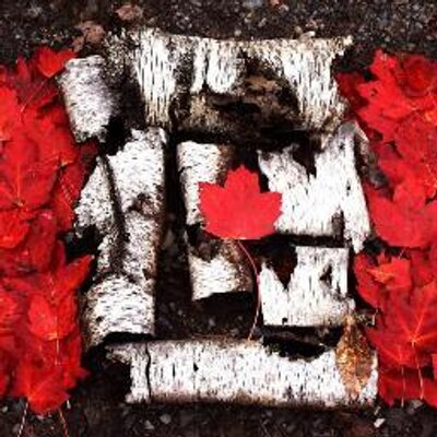 Profile Picture of Dave Fothergill (@_DaveF_) on Twitter