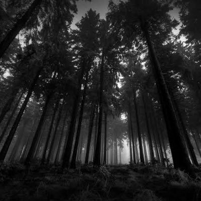 Profile Picture of Alex Tuck (@alextuck20) on Twitter