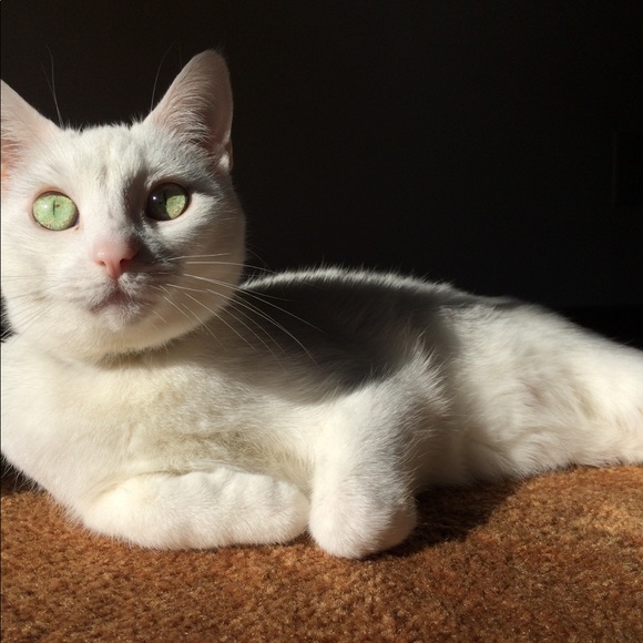 Profile Picture of Charity Labuy (@labwahaa) on Poshmark