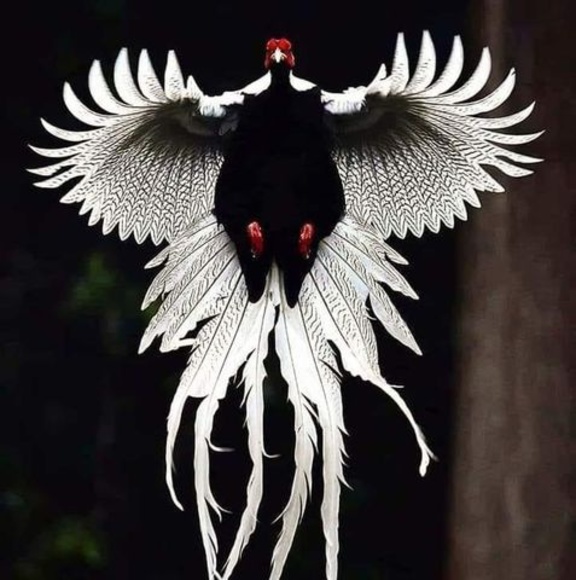 Profile Picture of Jorge Gonsales (@jorgegonsales) on Poshmark