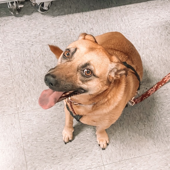 Profile Picture of Katie Sticklen (@katiesticklen) on Poshmark