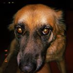 Profile Picture of Katelyn Compton (@katelyn.compton13) on Instagram