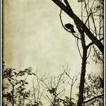 Profile Picture of Savannah McManus (@savannahmcmanus) on Instagram