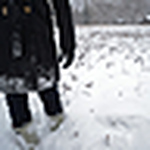Profile Picture of Josh & Felicia Murphy (@josh & felicia murphy) on Flickr