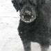 Profile Picture of Brenda Baughman (@brenda.baughman.125) on Facebook