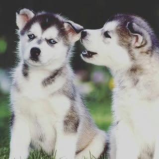 Profile Picture of maddison hernandez (@hernandez.maddison) on Instagram