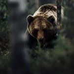 Profile Picture of Kenny wilder (@_.26szns) on Instagram