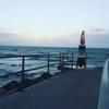 Profile Picture of Patrick Halley (@@patrickhalley5) on Tiktok