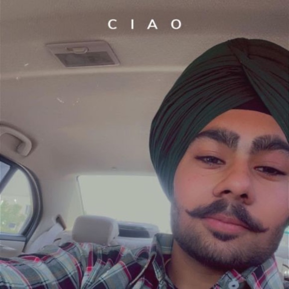 Profile Picture of Jashanpreet Singh (@jashanpreets460) on Poshmark