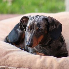 Profile Picture of Renae Bateman (@user2606353222974) on Tiktok