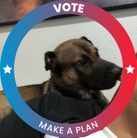 Profile Picture of Luis Hechavarria (@princepapi) on Poshmark