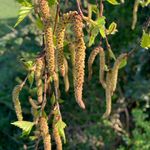 Profile Picture of Barbara Mikus (@barbara.mikus.52) on Instagram