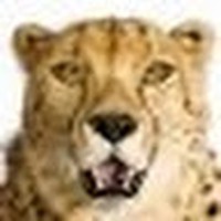 Profile Picture of David Lauen (@david-lauen-1) on Quora