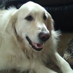 Profile Picture of Nancy Manfreda (@nanman53) on Instagram