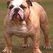 Profile Picture of Moises Jaramillo (@kool_moises) on Myspace