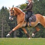 Amanda - Instagram Profile Picture of Amanda (@amandastromback_) on Instagram