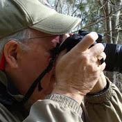 Profile Picture of Mike Despot (@mikedespot1782) on Youtube