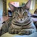 Profile Picture of Todd Foss (@todd.foss.946) on Facebook