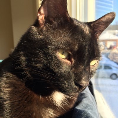 Profile Picture of Charles A. Hardin (@CharlesAHardin2) on Twitter