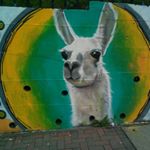 Profile Picture of Christine Stoiber (@chrischtine1506) on Instagram