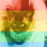 Profile Picture of Ian Primmer (@primmerian) on Instagram