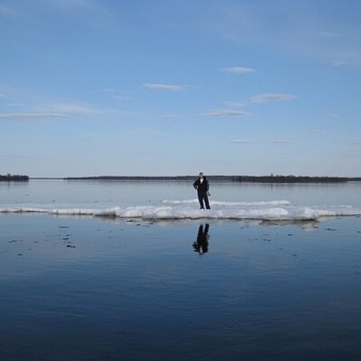 Profile Picture of Mike Wieseler (@mikewmn) on Twitter