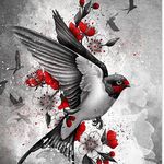 Profile Picture of Ian Stokes (@ians.bonsai.world) on Instagram