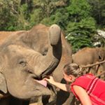 Dawn Laird - Instagram Profile Picture of Dawn Laird (@dawnlaird) on Instagram