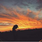 Profile Picture of David Goulet (@leptitgoulat) on Instagram