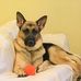 Profile Picture of Buddy Hughes (@buddy.hughes.92775) on Facebook