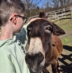 Profile Picture of Matheo Prügger (@Matheo-Prügger) on Facebook