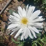 Profile Picture of Yolanda Tejeda (@Yolanda-Tejeda) on Facebook