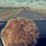 Profile Picture of John Parker (@john clifford parker) on Flickr