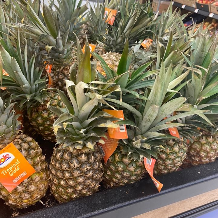 Espen <33 - Tiktok Profile Picture of Espen <33 (@espenrose) on Tiktok