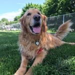 Profile Picture of Winston Stuart Salsa (@winstonstuartsalsa) on Instagram
