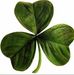 Profile Picture of Danny Coughlin (@danny.coughlin.90) on Facebook
