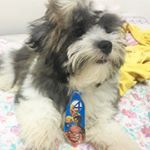 Profile Picture of Mike Leite (@mike_leite19) on Instagram