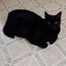 Profile Picture of Doris Branch (@Doris-Branch) on Facebook