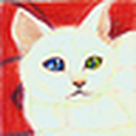 Profile Picture of Tracy Imhoff (@Painting Marmot) on Flickr