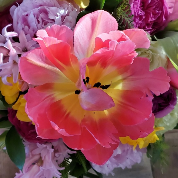 Profile Picture of Meagan Bedsaul (@meagan902) on Poshmark