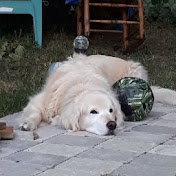 Profile Picture of Paul Ellis (@paulellis835) on Youtube