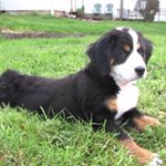 Lacy Wilkinson - Instagram Profile Picture of Lacy Wilkinson (@xo.lw.ox) on Instagram