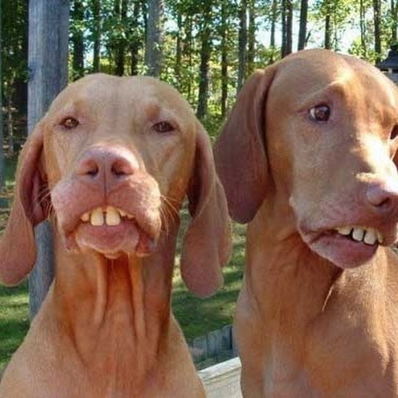 Profile Picture of Pj Markwalter (@pjmarkwalter) on Poshmark