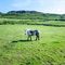Profile Picture of Mildred Dunbar (@mildred.dunbar.940) on Facebook