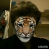 Profile Picture of Daniel Mellor (@danielmellor2005) on Tiktok
