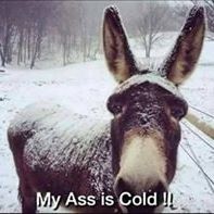 Profile Picture of Jack Swindlehurst (@jackswindlehurst) on Pinterest