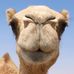 Profile Picture of Michael Latka (@michael.latka.9) on Facebook