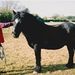 Profile Picture of Rosie Stringer (@rosemarystringer0053) on Pinterest
