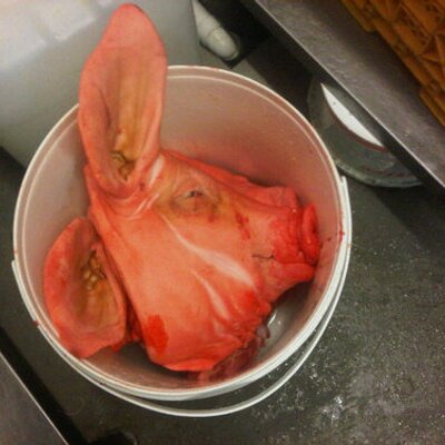 Profile Picture of Robert Worsley (@rworsley86) on Twitter